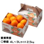 お歳暮 みかん あいか 〇等級 4L〜3Lサイズ 2.5kg みきゃん箱入 紅まどんなと同品種 JAえひめ中央 中島選果場 蜜柑 ミカン ギフト お取り寄せ