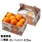 お歳暮 みかん あいか 〇等級 2L〜Lサイズ 2.5kg みきゃん箱入 紅まどんなと同品種 JAえひめ中央 中島選果場 蜜柑 ミカン ギフト お取り寄せ