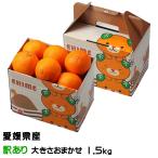  подарок по случаю конца года мандарин ... есть перевод размер случайный 1.5kg.... в коробке .. какой . такой же товар вид меласса .mi can подарок ваш заказ 