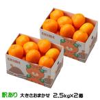みかん あいか 2.5kg×2箱  訳あり 大きさおまかせ 紅まどんなと同品種 蜜柑 ミカン ギフト お取り寄せ