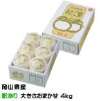 ショッピング梨 お歳暮 梨 あたご梨 風のいたずら 訳あり 大きさおまかせ 4kg 岡山県産 JAおかやま 愛宕梨 ナシ なし ギフト