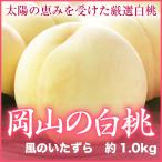 白桃 はくとう 岡山県産 風のいたずら ちょっと訳あり 4〜8玉 約1kg 送料無料 お中元 夏ギフト 白桃 桃 もも モモ