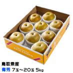  груша осень . Izumi ...... синий превосходящий 7 шар ~20 шар 5kg Tottori префектура производство нет нет новый . Izumi сестры товар вид 