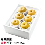 груша осень . Izumi ...... красный превосходящий 5 шар ~9 шар 2kg Tottori префектура производство нет нет новый . Izumi сестры товар вид 
