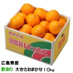 紅八朔 べにはっさく 風のいたずら ちょっと訳あり 大きさおまかせ 10kg 広島県 因島産 はっさく ハッサク みかん