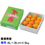 お歳暮 みかん 紅まどんな 青秀 4L〜3Lサイズ 3kg ８玉〜10玉 愛媛県産 JAえひめ中央 中島選果場 ミカン 蜜柑 ギフト お取り寄せ