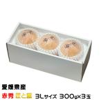 お歳暮 みかん 紅まどんな 赤秀 匠と極 3Lサイズ 300g×3玉 愛媛県産 JAえひめ中央 中島選果場 ミカン 蜜柑 ギフト お取り寄せ