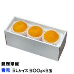 お歳暮 みかん 紅まどんな 青秀 3Lサイズ 300g×3玉 愛媛県産 JAえひめ中央 中島選果場 ミカン 蜜柑 ギフト お取り寄せ