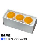 お歳暮 みかん 紅まどんな 青秀 Lサイズ 200g×3玉 愛媛県産 JAえひめ中央 中島選果場 ミカン 蜜柑 ギフト お取り寄せ