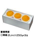 お歳暮 みかん 紅まどんな 〇等級 2Lサイズ 250g×3玉 愛媛県産 JAえひめ中央 中島選果場 ミカン 蜜柑 ギフト お取り寄せ