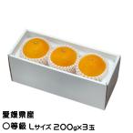 お歳暮 みかん 紅まどんな 〇等級 Lサイズ 200g×3玉 愛媛県産 JAえひめ中央 中島選果場 ミカン 蜜柑 ギフト お取り寄せ