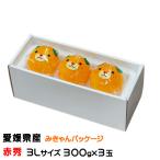 お歳暮 みかん 紅まどんな みきゃんパッケージ 赤秀 3Lサイズ 300g×3玉 愛媛県産 ミカン 蜜柑 ギフト お取り寄せ