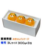 お歳暮 みかん 紅まどんな みきゃんパッケージ 青秀 3Lサイズ 300g×3玉 愛媛県産 ミカン 蜜柑 ギフト お取り寄せ
