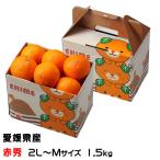  мандарин . Princess красный превосходящий 2L~M размер 1.5kg.... в коробке Ehime префектура производство .. какой .. flat. .. соединять mi can меласса . подарок 