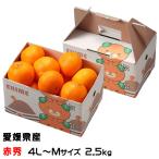 ショッピング甘平 みかん 紅プリンセス 赤秀 4L〜Mサイズ 2.5kg みきゃん箱入 愛媛県産 紅まどんなと甘平の掛け合わせ ミカン 蜜柑 ギフト
