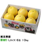 お歳暮 みかん 晩白柚 ばんぺいゆ 訳あり Lサイズ 6玉 10kg 熊本県産 ミカン 蜜柑 ギフト お取り寄せ