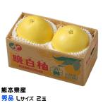  подарок по случаю конца года мандарин . белый ...... превосходящий товар L размер 2 шар Kumamoto префектура производство mi can меласса . подарок ваш заказ 