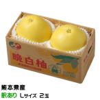 お歳暮みかん晩白柚ばんぺいゆ訳あり...