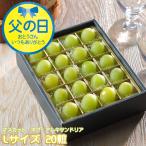 商品画像2