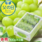 遅れてごめんね 父の日 2025 マスカットオブアレキサンドリア 赤秀 400g×2房 岡山県産 ＪＡおかやま 葡萄 ぶどう ブドウ ギフト プレゼント