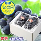 遅れてごめんね 父の日 2025 ニューピオーネ 赤秀 400g×2房 岡山県産 ＪＡ岡山 ピオーネ 葡萄 ブドウ ぶどう ギフト プレゼント