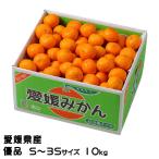 お歳暮 みかん 極旨小玉みかん 優品 S〜3Sサイズ 10kg 愛媛県産 ミカン 蜜柑 ギフト