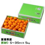  подарок по случаю конца года мандарин высшее . маленький шар мандарин способ. баловство есть перевод S~3S размер 5kg Ehime префектура производство mi can меласса . подарок 