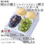 桃ぶどう詰め合わせ★エースLサイズ...
