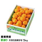  подарок по случаю конца года мандарин. ... есть перевод размер случайный 5kg Ehime префектура производство JA... центр средний остров выбор . место mi can меласса .