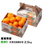  подарок по случаю конца года мандарин. ... есть перевод размер случайный 2.5kg.... в коробке Ehime префектура производство JA... центр средний остров выбор . место mi can меласса .