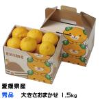 ショッピング甘平 みかん 媛小春 ひめこはる 秀品 大きさおまかせ 1.5kg 愛媛県産 ギフト