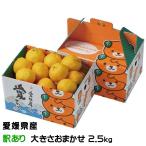 ショッピング甘平 みかん 媛小春 ひめこはる 風のいたずら ちょっと訳あり 大きさおまかせ 2.5kg 愛媛県産 ギフト