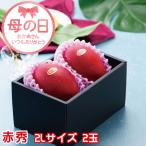  День матери 2026...... манго красный превосходящий 2L 350g и больше ×2 шар JA Miyazaki экономика полосный Miyazaki префектура производство подарок подарок 