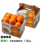 ショッピング甘平 みかん はるあいか 風のいたずら ちょっと訳あり 大きさおまかせ 1.5kg みきゃん箱入 愛媛県産 紅まどんなと甘平の掛け合わせ 紅プリンセスと同品種 ミカン