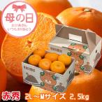 母の日 2025 みかん せとか 赤秀 2L〜Mサイズ 2.5kg みきゃん箱入り 愛媛県 中島産 ミカン 蜜柑 贈り物