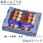 いちご 白いちご 3種 詰め合わせ（古都華・淡雪・パールホワイト）250g×2パック奈良県産 苺 イチゴ ギフト お取り寄せ