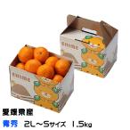 商品画像3