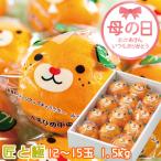 遅れてごめんね 母の日 2025 みかん カラマンダリン みきゃんの中島だより 匠と極 12玉〜15玉 1.5kg JAえひめ中央 中島産 化粧箱入り ギフト プレゼント