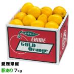 みかん 河内晩柑 かわ�