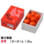 お歳暮 みかん 金時紅みかん 赤秀 12〜21玉 1.2kg 香川県産 ミカン 蜜柑 ギフト お取り寄せ