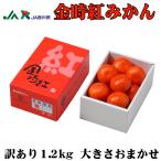 お歳暮 みかん 金時紅みかん 風のいたずら ちょっと訳あり 大きさおまかせ 1.2kg 香川県産 ミカン 蜜柑 ギフト お取り寄せ