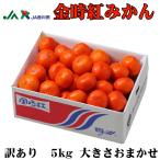  подарок по случаю конца года мандарин золотой час . мандарин способ. баловство немного есть перевод размер случайный 5kg Kagawa префектура производство mi can меласса . подарок ваш заказ 