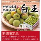 梅 紀州小梅 白王 秀品 2L〜Mサイズ 4kg JA紀南 和歌山県産 レシピ付き 梅干し用 生梅 うめ ウメ