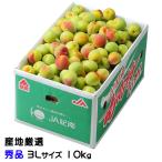 梅 南高梅 産地厳選 秀品 3Lサイズ 10kg なんこう うめ 生梅