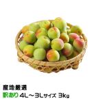 梅 南高梅 産地厳選 風のいたずら ★4L〜3Lサイズ 3kg なんこう うめ 生梅