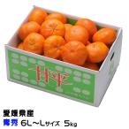 みかん 甘平 かんぺい 青秀 6L〜Lサイズ 5kg 愛媛県産 JAえひめ中央 中島選果場 蜜柑 ミカン ギフト お取り寄せ