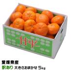 みかん 甘平 かんぺい 風のいたずら 訳あり 大きさおまかせ 5kg 愛媛県産 蜜柑 ミカン ギフト お取り寄せ