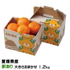 ショッピング甘平 みかん 甘平 かんぺい 風のいたずら 訳あり 大きさおまかせ 1.2kg みきゃん箱入り 愛媛県産 蜜柑 ミカン ギフト お取り寄せ