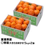 ショッピング甘平 みかん 甘平 かんぺい 5kg×2箱 〇等級 大きさおまかせ 愛媛県産 JAえひめ中央 中島選果場 蜜柑 ミカン ギフト お取り寄せ