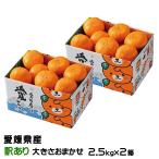 ショッピング甘平 みかん 甘平 かんぺい 2.5kg×2箱 風のいたずら 訳あり 大きさおまかせ みきゃん箱入り 愛媛県産  蜜柑 ミカン ギフト お取り寄せ